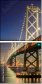 313371516
