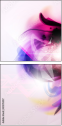 31395557