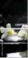31674592