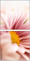 32108465