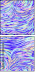 322036306