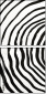324703304