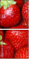 3269949
