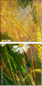 32753140
