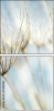 32821180
