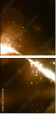 33007658