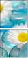 33105432