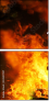 33557057