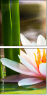 34213537