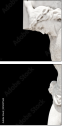 35037563