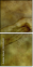 35198447