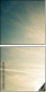 35316954