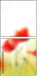 35616478