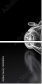 36008026
