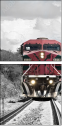 36348049