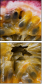 36705995