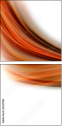 36917961