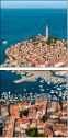 37043331