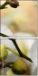 37764632