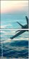 38251844