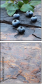 38310758