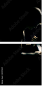 39076557