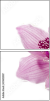 39612007
