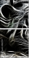 39837921