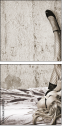 40085175