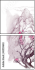 40159643