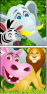 40654755