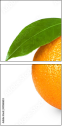 41068624