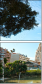 41069127