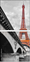 41892337