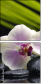 42014292