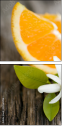 42360396