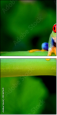42467641