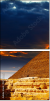 42751455