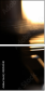 42853540