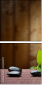 43250977