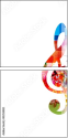 43253882