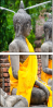 43653250