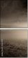 43670148