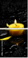 43880281