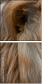 44169584