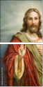 44247495