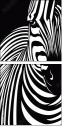 44412640
