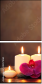 44571063