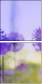 44687067