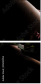 45024953